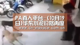 PA真人平台-(10月19日)华东水泥价格再度上调水泥价格四季度上涨动力仍存(图3) PA真人